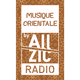 Allzic Radio - Orientale Logo