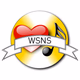WSNS: Songwriters, Soul, and Solid Gold Logo