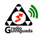 Radio Guiniguada Logo