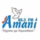 Radio Amani 88.3 FM Logo