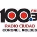 RCM 88 Radio Ciudad Logo