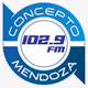 Concepto FM Logo