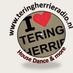 TeringHerrieRadio.NL Logo