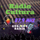 Rádio Cultura FM 87.9 Logo
