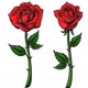 RoseLabel Logo