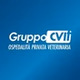 Radio GruppoCVIT logo