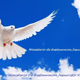 Radio Jesucristo Vive Logo