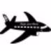 Flight Level Radio Logo