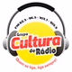 Rádio Cultura FM 103.1 logo
