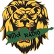 ViiLD Urban logo