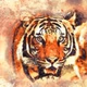 SEBATA FM Logo