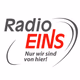 RadioEINS Logo