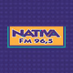 Nativa 96.5 FM Logo
