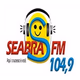 Rádio Seabra FM Logo