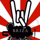 Radio Briza Logo