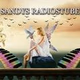 Sandys Radiostube Logo