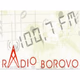 Radio Borovo Logo