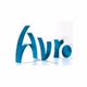AVRO Steenen Tijdperk Fifties Logo