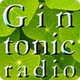 rockSateliteONE - GinTonicRadio logo