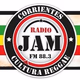 Radio JAM FM 88.3 Logo