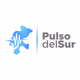 Pulso del Sur Logo