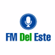 FM Del Este 93.7 Logo