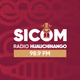 SICOM Huauchinango 98.9 - XHNGO Logo