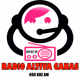 Radio Altiva Canas Logo