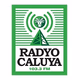 103.3 Radyo Caluya Logo