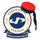 Radio Futog - Krajina Logo