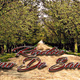 IVM Camino de Santidad Logo