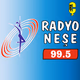 Radyo Neşe Logo
