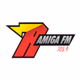 Rádio Amiga SP 105,9 Logo