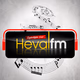 AmedFM Logo