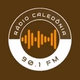 Radio Caledônia FM 90.1 Logo