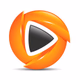 Pennant Sports Net Logo