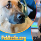 PetRadio.Org Logo