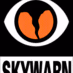 Henry County Skywarn Logo