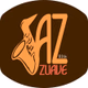 Jazzuave 91.9 FM - WJZU-DB Logo