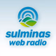 Sulminas Web Rádio Logo