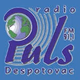 Puls Despotovac Logo