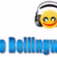 Radio Bellingwolde Logo