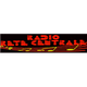 Radio Rete Centrale Logo