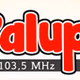 Radio Palupi Bangka Logo