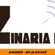Zinaria FM Logo