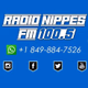 Radio Nippes FM 100.5 Logo