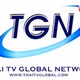 TGN Logo
