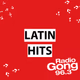 Radio Gong 96.3 - Latin Hits Logo