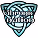 Vibronic Radio Logo