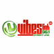 Vibes Link FM Logo